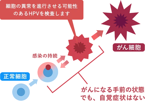 細胞の異常を進行させる可能性のあるHPVの活動を検査します。
